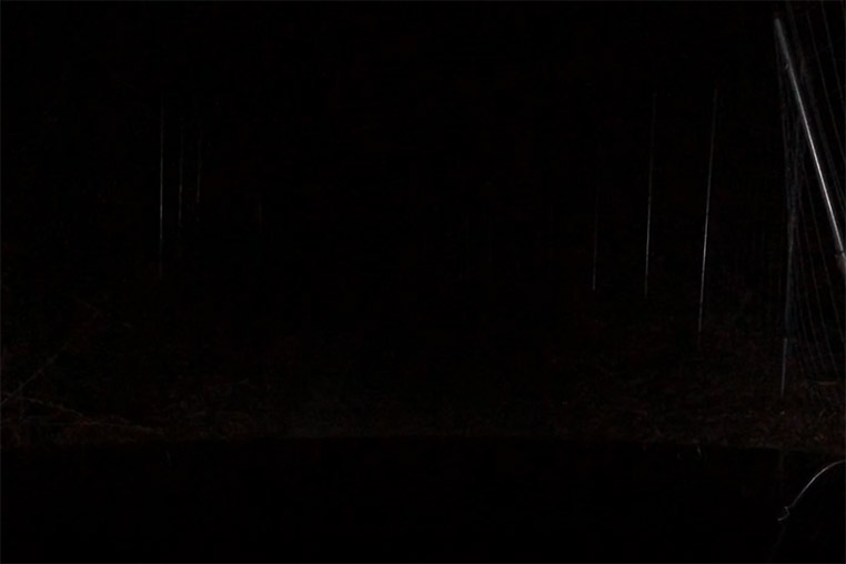 夜間の林道は真っ暗