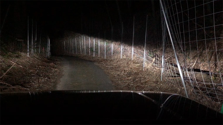 夜間の林道 ヘッドライトを点灯