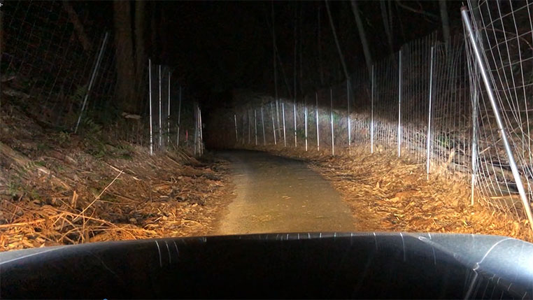 夜間の林道　ヘッドライトとフォグランプとドライビングランプを点灯