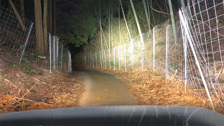 夜間の林道 ヘッドライトとフォグランプとドライビングランプとライトバーを点灯