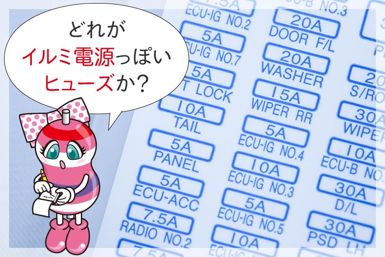 イルミ電源ヒューズがどれかを調べているユキマちゃん