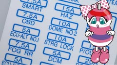 プレビューイメージ