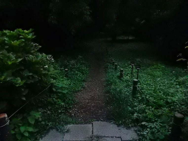 暗い夜道